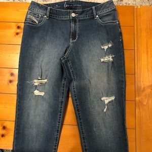Lane Bryant Denim Jeans